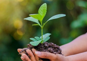 plant-base-diet